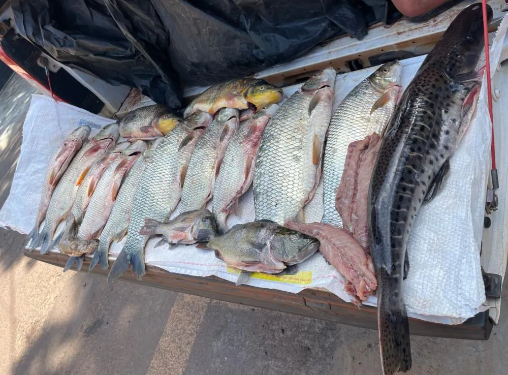 Operação Protetor das Fronteiras flagra pesca ilegal em Santa Cruz de Monte Castelo