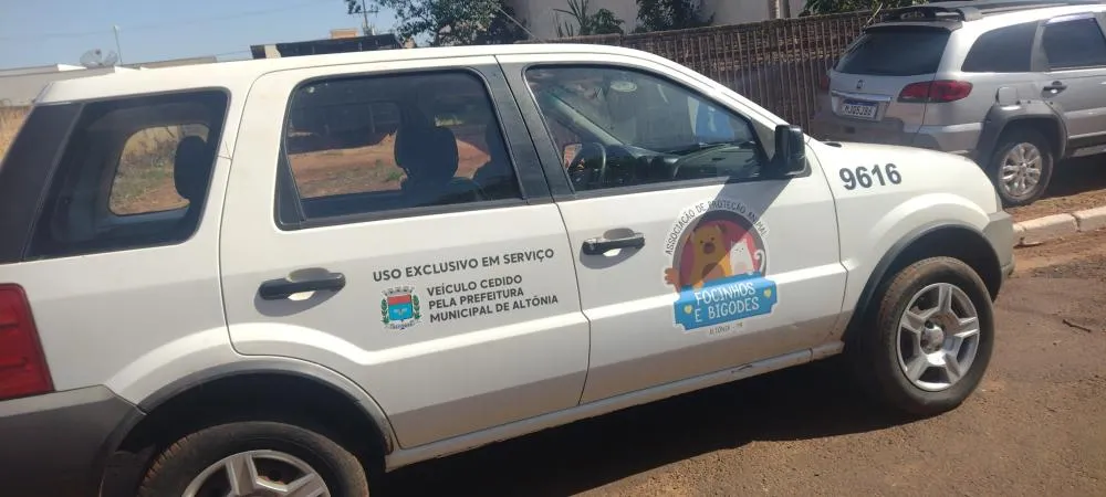 Associação Focinhos e Bigodes realiza novo resgate e pede ajuda para alimentar animais acolhidos