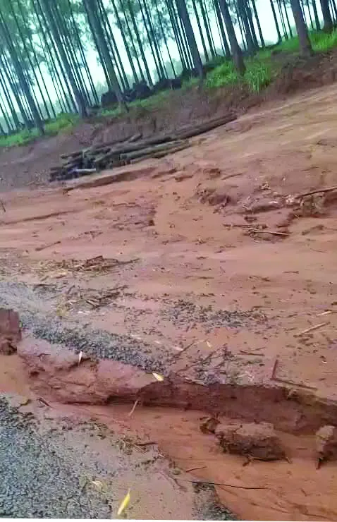 Administração Municipal segue investindo em infraestrutura rural, mas moradores cobram responsabilidade após danos em estrada recuperada