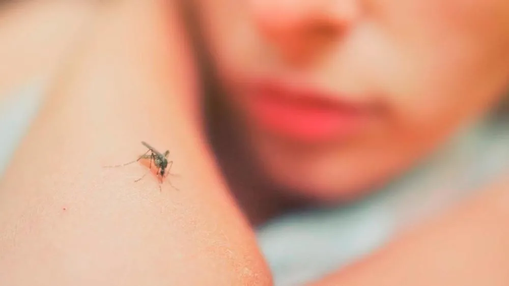 Óbito por dengue é confirmado na 12ª Regional de Saúde de Umuarama
